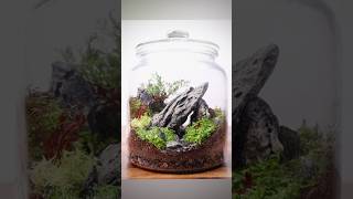 Making a simple scaped terrarium [upl. by Elbertine]