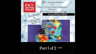 PACU Nursing Minutes amp Zander Perioperative Discuss WAG Waste Anesthesia Gas Learn Whats New [upl. by Odrick457]