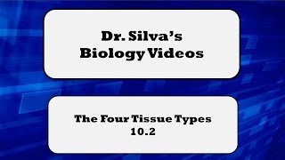 The 4 Tissue Types – 102 – Biol 189 [upl. by Zadack75]