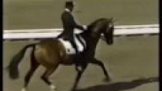 Klimke and Ahlerich  1984 Olympics Dressage [upl. by Love478]