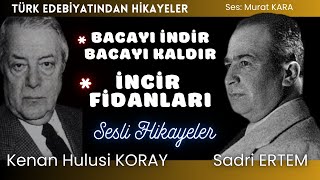 İki Ustadan İki hikaye  Türk Edebiyatından Sesli Kitaplar [upl. by Eidnahs791]