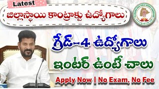 TG District Contract Jobs 2024 Telangana Contract Basis Jobs 2024 tg district wise contract jobs [upl. by Yenaj981]