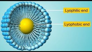 الغروي المحب والكاره للمذيب  lyophilic and lyophobic colloids [upl. by Leeann]