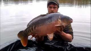 Frontfish stocking Sundridge Lake Kent [upl. by Anthe]