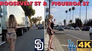 🇺🇸Figueroa Street Los Angeles VS Dalbergia street San Diego 4K [upl. by Wendi]