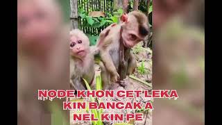 GARI MUSKIL RE MENAI ASANTALI EMOTIONAL VIDEOnew santali video 2024 [upl. by Avlis]