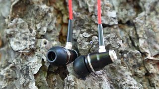 Symphonized NRG Wooden Earphones  Review [upl. by Eirised]