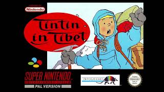 Tintin in Tibet  Snowy Falls Into the Stream SNES OST [upl. by Sallad939]