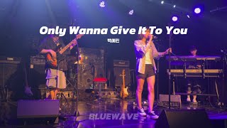 Bluewave 백예린  only wanna give it to you cover 2024 연합공연 [upl. by Enylodnewg]