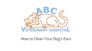 How to Clean a Dogs Ears [upl. by Greff]