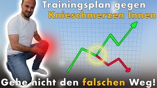 WANN werden Schmerzen endlich besser  Trainingsplan gegen Knieschmerzen Innen [upl. by Enayd]