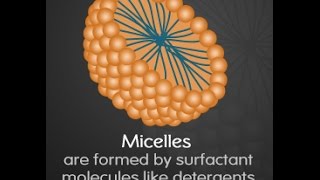 Micelle Function Structure and Formation [upl. by Yentihw]