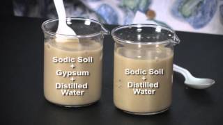 Visualizing Soil Properties Dispersion and Flocculation [upl. by Milena]