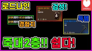 로드나인 안보면 손해 투력 53 죽은자의 대지2층 사냥 잘됩니다 히든직업 검성 검방패 필수 시청 [upl. by Ehcropal]