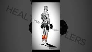 Top 3 exercise for Bigger Calf With Dumbbell shorts workoutmotivation calfworkout [upl. by Leiuqese]