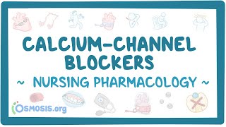 Calciumchannel blockers Nursing Pharmacology [upl. by Reema733]