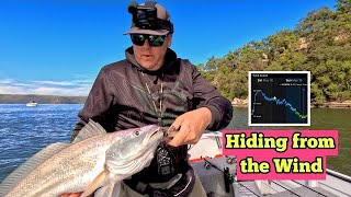 Fishing the Hawkesbury River with Lures [upl. by Susi]