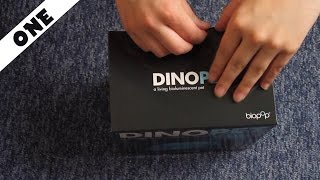 Unboxing amp Setting Up  DINOPET EP 1 [upl. by Padraic]