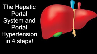 HEPATIC PORTAL SYSTEM HEPATIC PORTAL CIRCULATION EXPLAINED [upl. by Eustace370]