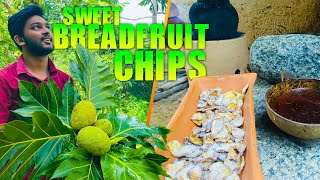 Tea Time with Sweet Breadfruit Chips I Breadfruit Recipe 2 I Del Murukku I Breadfruit Peelfry [upl. by Aiynot]