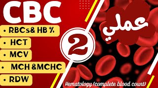 35تحليل صورة الدم الكاملة CBC خلايا الدم الحمراء الجزء الثاني عملي Red blood cells [upl. by Anissej]