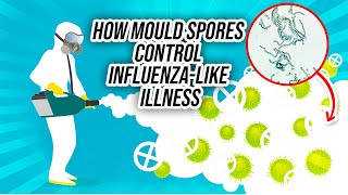 How Mould Spores Control InfluenzaLike Illness [upl. by Norramic]