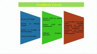 Présentation de la spécialité Toxicologie Industrielle et Environnementale par Mme MANKOU [upl. by Ahsinrad]