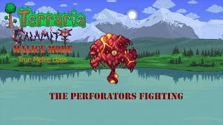 Terraria Calamity Malice mode True melee The perforator hive [upl. by Harle]