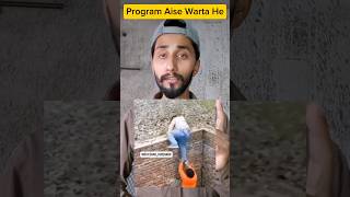 Program To Aise Warta He 😂 funnyvideos funnyreels program programwargya funnymemes funnyshorts [upl. by Wanonah]