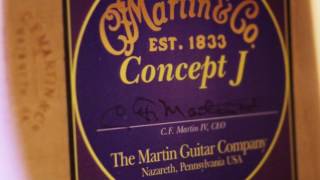 Martin Concept J guitar w Holograph Finish at Guitar Gallery [upl. by Nairad333]