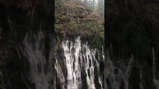 Burney Falls at McArthurBurney Falls Memorial State Park in Shasta County Ca [upl. by Trinidad724]