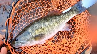 Late fall creek fishing for Shoal Bass [upl. by Ecnerewal]