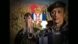 quotKaradzicu vodi Srbe svojequot Serbian War Song [upl. by Ikkin]