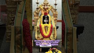 siva lingam linga shiva shivatemple sivapuranam annamalai namashivaya om divine arunasala [upl. by Esertap]