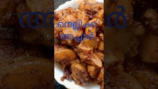 നെല്ലിക്ക അച്ചാർ  Gooseberry Pickle [upl. by Bari]