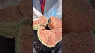 スイカを宇宙食にしたら驚きの変化が？？🍉Watermelon as space food [upl. by Oznohpla]