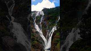 Dudh Sagar Waterfall goa  shorts दुधसागरझरना गोवा Music Luve STKACHHAPISHWAR [upl. by Nnairrek300]