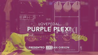 Lovepedal  Purple Plexi 2016 with Hermida Audio USA EPH3 [upl. by Ativoj]