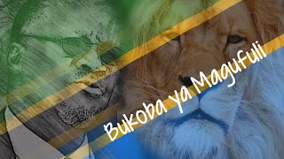 Tanzanian President John Magufuli 2020 quotBukoba ya Magufuliquot by Blind Singer Philibert Bandihai CCM [upl. by Tenrag]