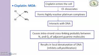 Antineoplastic agents Cisplatin [upl. by Adnohsal]