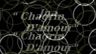 JNA quot Chagrin damour quot [upl. by Leinod]