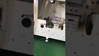 Narrow Web Flexographic Label Printing Machine [upl. by Ayotol94]