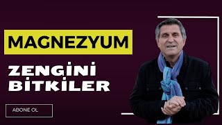 EN ÇOK MAGNEZYUM İÇEREN BESİNLER EN İYİ MAGNEZYUM TAKVİYESİ [upl. by Mutat]