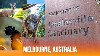 Healesville Sanctuary Melbourne Australia [upl. by Vivi]