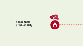 Steamcracker – renewable not fossil [upl. by Ciel164]