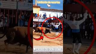 Casas de Don Gómez 2024  parte 2 🐂 toros bullfight2024 torosbravos [upl. by Ateekan]