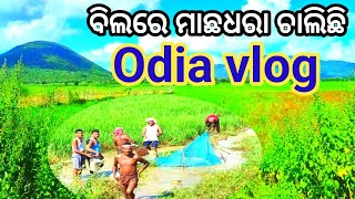 Odia village lifestyle vlog YouTuber Manas ଓଡ଼ିଆ ବିଲବାଡ଼ି ର ସୁନ୍ଦର Video vlog channel [upl. by Croft382]