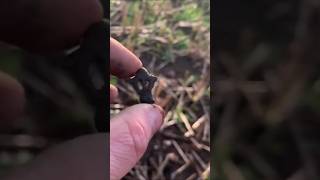 Tudor 1500s dress hook found metal detecting Scotland Garrett ace 250 [upl. by Einalam953]