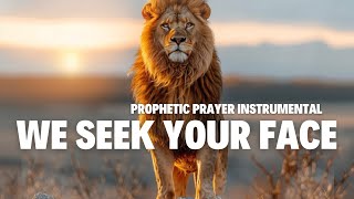 Prophetic Prayer Instrumental  Intercession  Meditation  Shofar  8 hours [upl. by Monte]