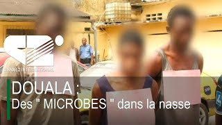 DOUALA  Des quot MICROBES quot dans la nasse [upl. by Atnoled]